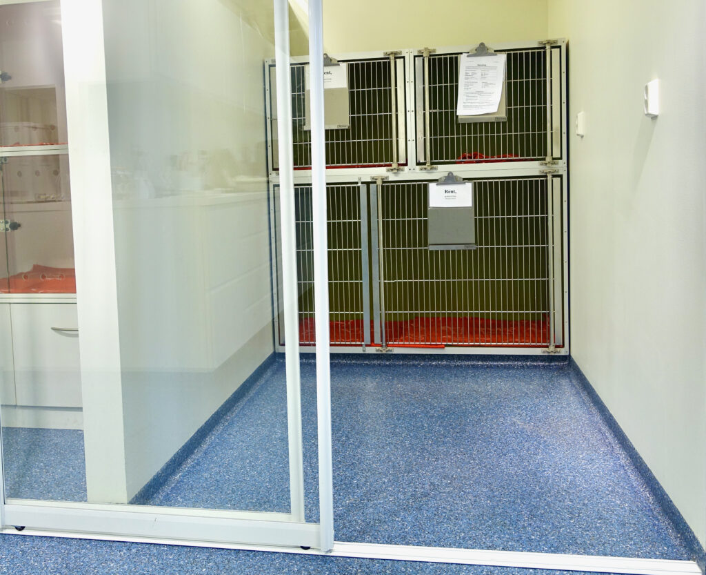 Kennel room with cages at the veterinary clinic – blue acrylic coating with coved edges against the walls