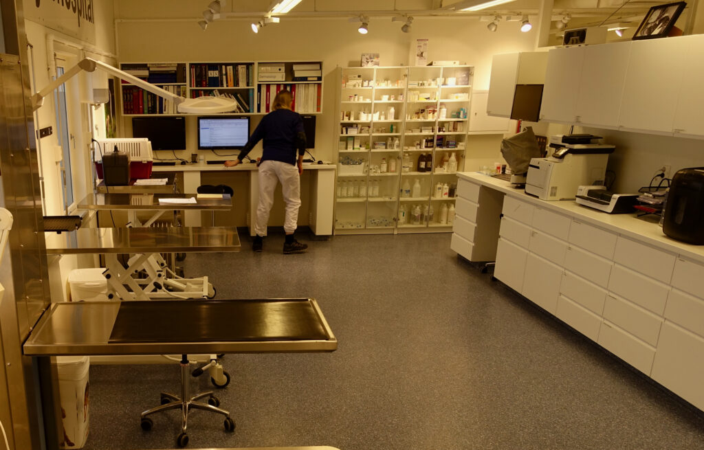 Treatment room at the animal hospital with stainless steel examination tables, medicine shelves and grey seamless floor