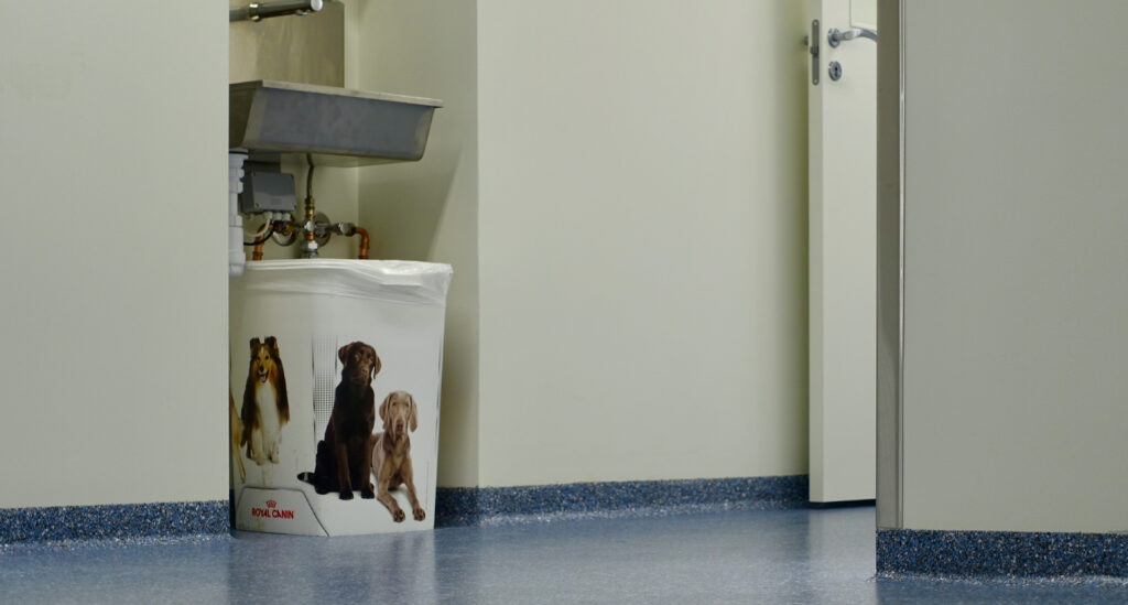 Container of dog food under a steel sink – blue seamless floor with coving along the walls