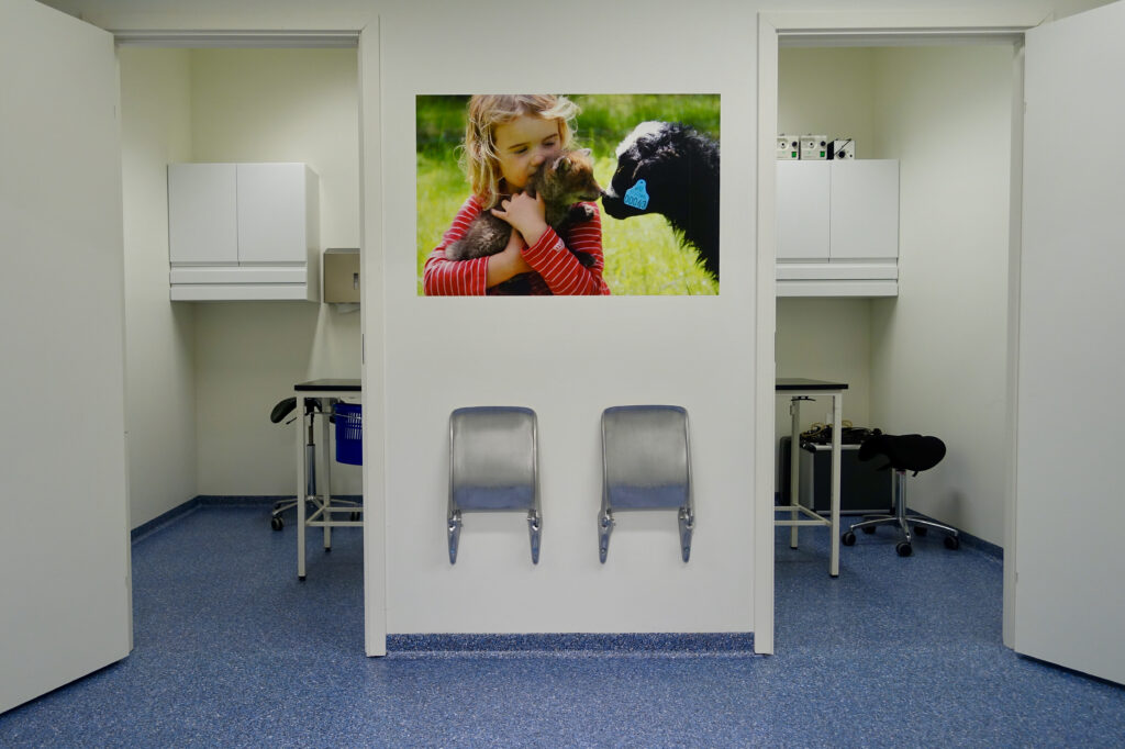 Blue seamless acrylic floor in a veterinary examination room, with folding seats and animal motifs on the wall
