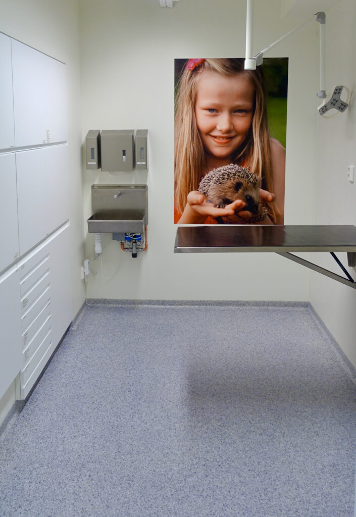 Veterinary examination room with a height-adjustable table and light grey seamless acrylic floor